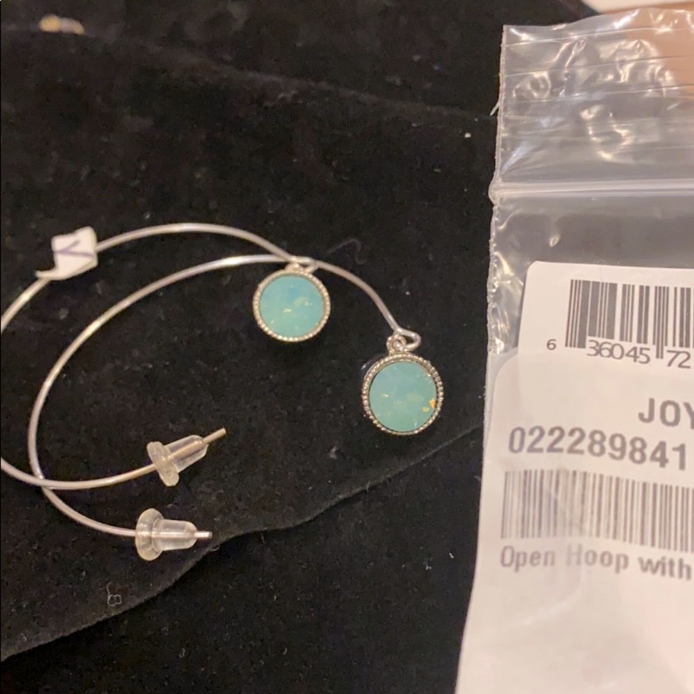 Open hoop with Swarovski crystal Bezel